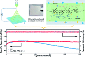 Graphical abstract: 3D structural lithium alginate-based gel polymer electrolytes with superior high-rate long cycling performance for high-energy lithium metal batteries