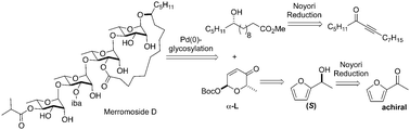 Graphical abstract: De novo asymmetric Achmatowicz approach to oligosaccharide natural products