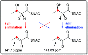 Graphical abstract: An isotopic probe to follow the stereochemical course of dehydratase reactions in polyketide and fatty acid biosynthesis