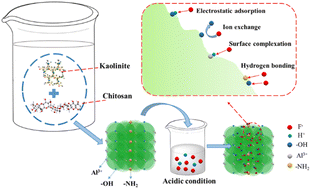 Graphical abstract: Treatment of fluorinated wastewater with chitosan modified activated sludge lysis ash