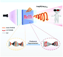 Graphical abstract: A photoswitchable circularly polarized luminescent cholesteric superstructure: direct visualization and dynamic modulation of the amplified luminescence dissymmetry factor