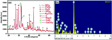 Graphical abstract: Utilization of biowaste-derived catalysts for biodiesel production: process optimization using response surface methodology and particle swarm optimization method