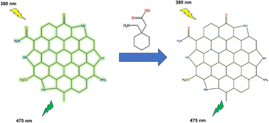 Graphical abstract: Efficient and eco-friendly detection of gabapentin using nitrogen-doped carbon quantum dots: an analytical and green chemistry approach