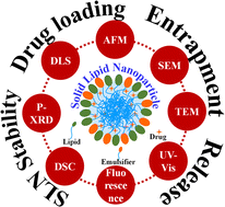 Graphical abstract: Experimental approaches to evaluate solid lipid nanoparticle-based drug delivery systems