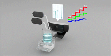 Graphical abstract: A compact flow-batch analyzer equipped with mini piezoelectric pumps and image-based volume control