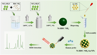 Graphical abstract: Facile synthesis of novel Ni-BDC-NH2/Au NPs SERS substrates with synergistic enhancement effects for high-performance detection