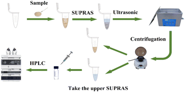 Graphical abstract: Supramolecular solvent-based ultrasound-assisted extraction of fangchinoline and tetrandrine from the roots of Stephaniae tetrandrae