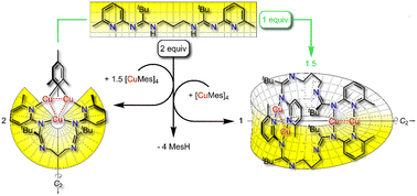 Graphical abstract: Facile interconversion of mesitylcopper into a CuMes–Cu2bis(amidinate) triangle and a tetracuprous Möbius strip
