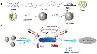 Graphical abstract: An acidity-triggered aggregation nanoplatform based on degradable mesoporous organosilica nanoparticles for precise drug delivery and phototherapy of focal bacterial infection