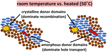 Graphical abstract: From generation to collection – impact of deposition temperature on charge carrier dynamics of high-performance vacuum-processed organic solar cells