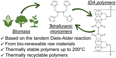 Graphical abstract: Tandem Diels–Alder reaction overrules entropy: the gate to thermally stable, yet thermally recyclable furan-based polymers