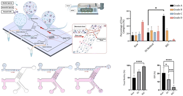 Graphical abstract: High-throughput selection of sperm with improved DNA integrity and rapidly progressive motility using a butterfly-shaped chip compared to the swim-up method