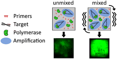 Graphical abstract: Vibration mixing for enhanced paper-based recombinase polymerase amplification