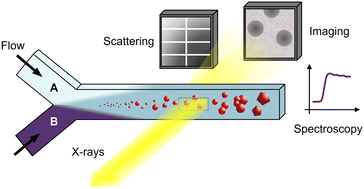 Graphical abstract: Micro- and milli-fluidic sample environments for in situ X-ray analysis in the chemical and materials sciences