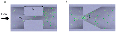 Graphical abstract: Geometry of obstructed pathway regulates upstream navigational pattern of sperm population