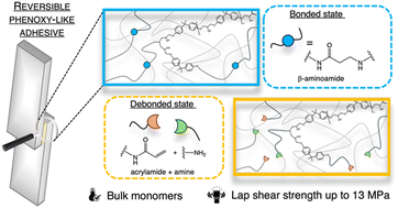 Graphical abstract: Debondable phenoxy-based structural adhesives with β-amino amide containing reversible crosslinkers