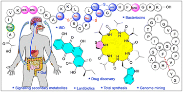 Graphical abstract: Natural products from the human microbiome: an emergent frontier in organic synthesis and drug discovery
