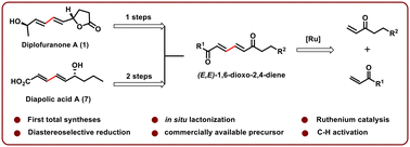 Graphical abstract: Total synthesis of diplofuranone A and diapolic acid A