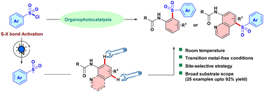 Graphical abstract: Shining light for organophotocatalysed site-selective sulfonylation of anilides