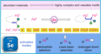 Graphical abstract: Recent progress in the organoselenium-catalyzed difunctionalization of alkenes