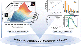Graphical abstract: Sr8MgSc(PO4)7:Eu2+ phosphor: d–f transition driven applications for solid-state lighting and extreme environment multimode sensing investigations