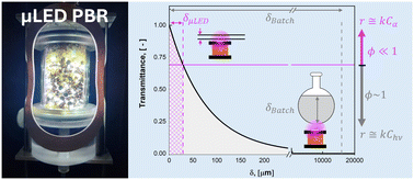 Graphical abstract: Wireless μLED packed beds for scalable continuous multiphasic photochemistry