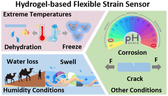 Graphical abstract: Recent advances in hydrogel-based flexible strain sensors for harsh environment applications