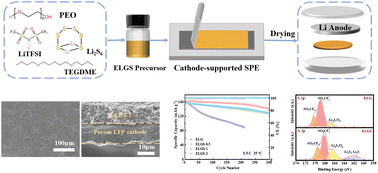 Graphical abstract: Cathode-supported solid polymer electrolyte with solvate ionic liquid and polysulfide modification for rechargeable lithium metal batteries