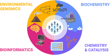 Graphical abstract: Realities of the consortium approach in science: sustainable enzymatic production of C1 chemicals from carbon dioxide