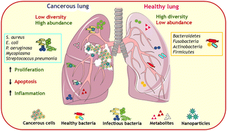 Graphical abstract: Strategic use of nanomaterials as double-edged therapeutics to control carcinogenesis via regulation of dysbiosis and bacterial infection: current status and future prospects