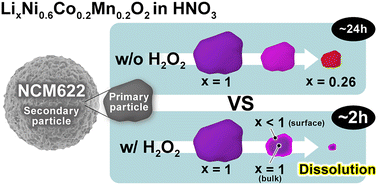 Graphical abstract: Mechanisms underlying the acid leaching process for LiNi0.6Co0.2Mn0.2O2 with and without H2O2