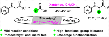 Graphical abstract: Visible-light-driven decarboxylative C(sp3)–H alkylation of glycine derivatives via in situ formation of NHPI esters