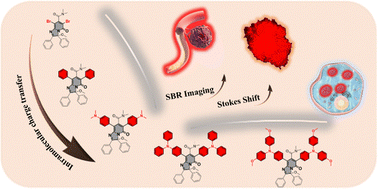Graphical abstract: Large Stokes shift by increasing intramolecular charge transfer for high signal-to-background ratio bioimaging