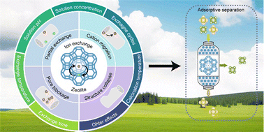 Graphical abstract: Ion exchange: an essential piece in the fabrication of zeolite adsorbents