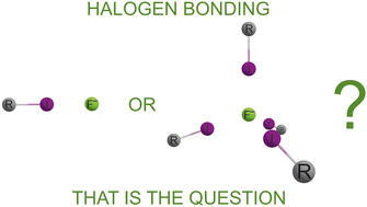 Graphical abstract: Multidentate halogen bond acceptors: from fluorides to iodides. Anticooperativity in halogen-bonded clusters