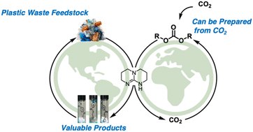 Graphical abstract: Upcycling of polyethylene terephthalate to high-value chemicals by carbonate-interchange deconstruction