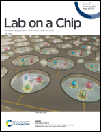 Graphical abstract: Front cover