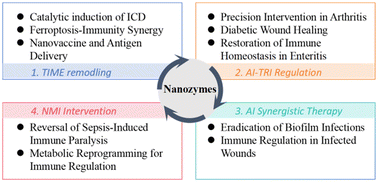 Graphical abstract: Nanozyme-driven remodeling of the immune microenvironment: from catalytic therapy to precise immune regulation