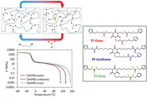 Graphical abstract: Synergistic reinforcement of Diels–Alder cycloadducts with hydrogen bonding interactions in recyclable dual-dynamic polyurethane networks