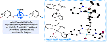 Graphical abstract: Nickel-catalysed sequential hydrodefluorination of pyridines: mechanistic insights led to the discovery of bench-stable precatalysts