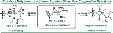 Graphical abstract: Synergistic C–H bond activation across molybdenum–iridium multiply bonded complexes: a cascade of transformations