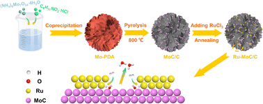 Graphical abstract: A Ru–MoC heterostructure electrocatalyst for efficient and stable hydrogen oxidation reaction in alkaline media