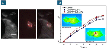 Graphical abstract: Recent advances in conjugated polymer lanthanide-doped upconversion nanoparticles and their biological applications