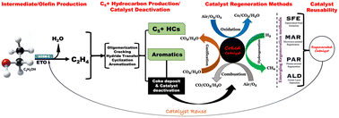 Graphical abstract: Unlocking catalytic longevity: a critical review of catalyst deactivation pathways and regeneration technologies