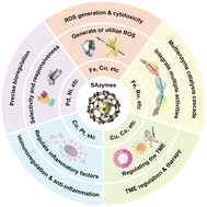 Graphical abstract: Single-atom nanozymes for antitumor catalytic therapy: structural engineering, catalytic mechanism, and advanced therapeutic strategies