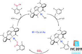 Graphical abstract: Direct C–H carboxylation with complexes of the coinage metals