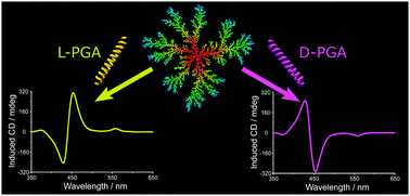 Graphical abstract: Supramolecular chirality transfer to large random aggregates of porphyrins