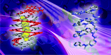 Graphical abstract: Diversifying the structural architecture of synthetic oligomers: the hetero foldamer approach