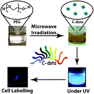 Graphical abstract: One step synthesis of C-dots by microwave mediated caramelization of poly(ethylene glycol)