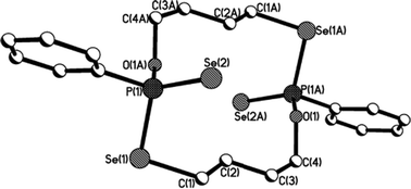 Graphical abstract: An efficient route for the synthesis of phosphorus–selenium macro-heterocycles